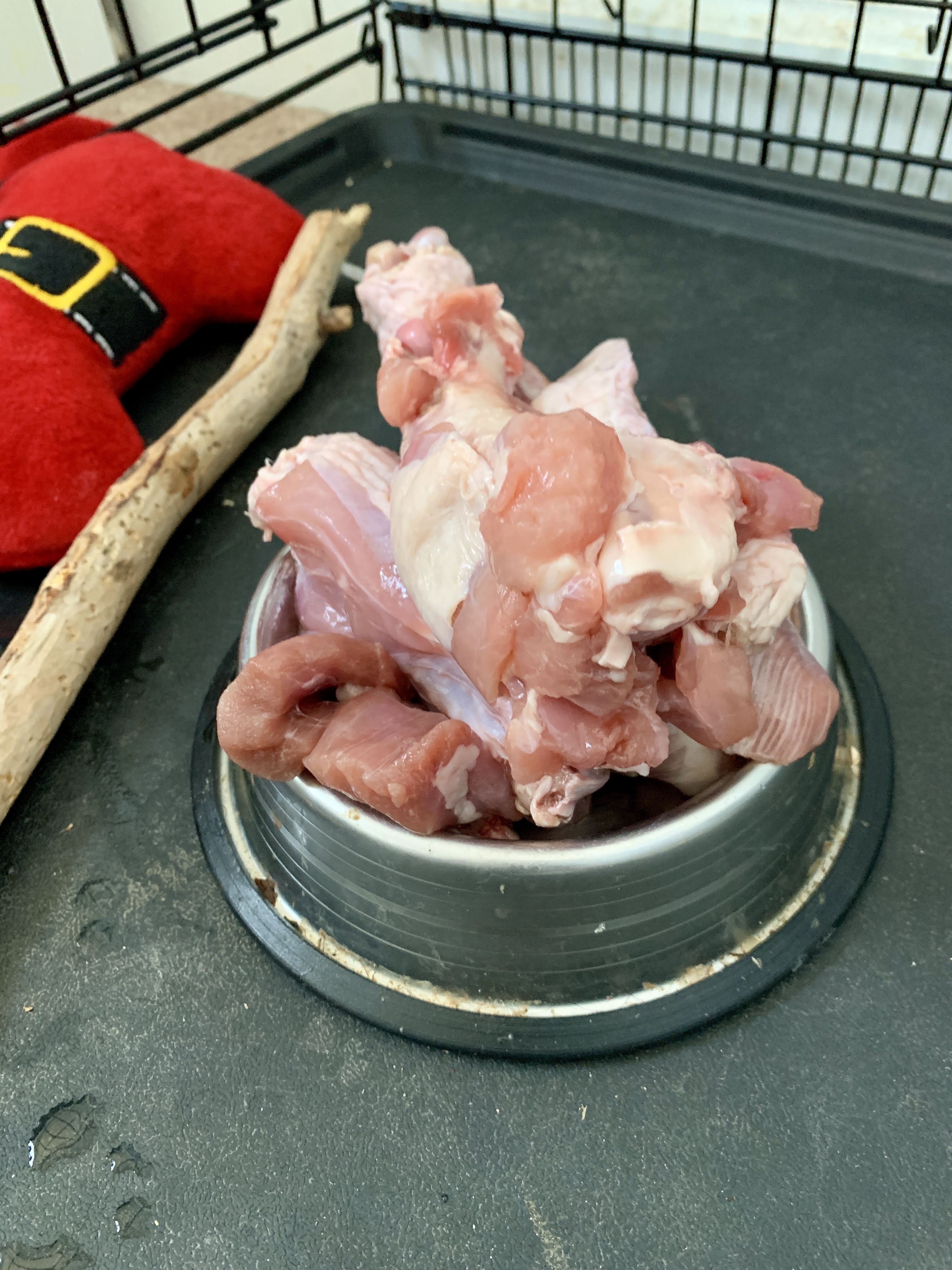 chicken